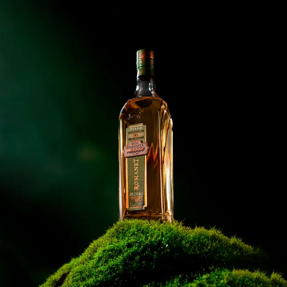 Pisco Bou Barroeta Romanet 3 años (Sarmiento), Atacama2