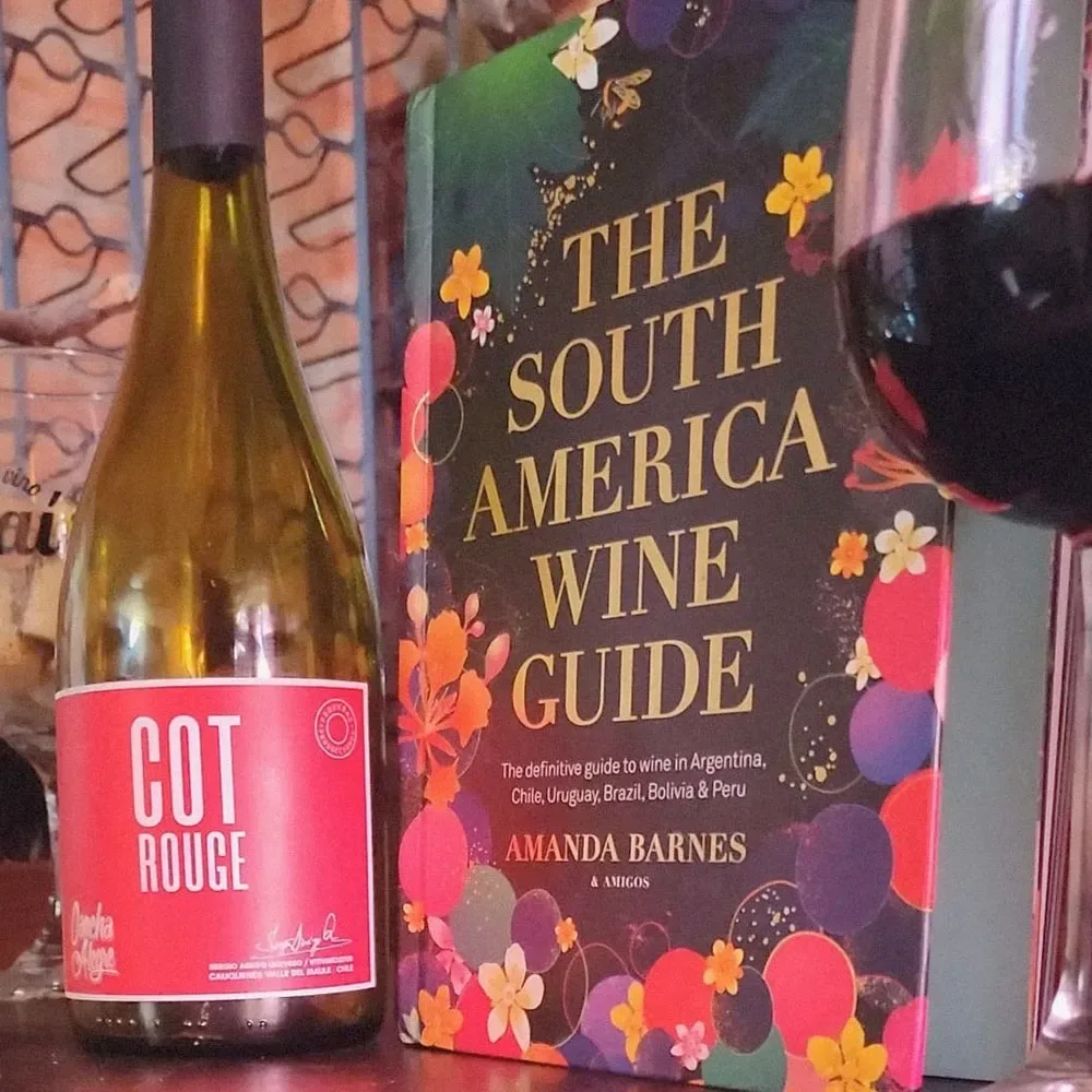 Vino Cancha Alegre Cot-Rouge2