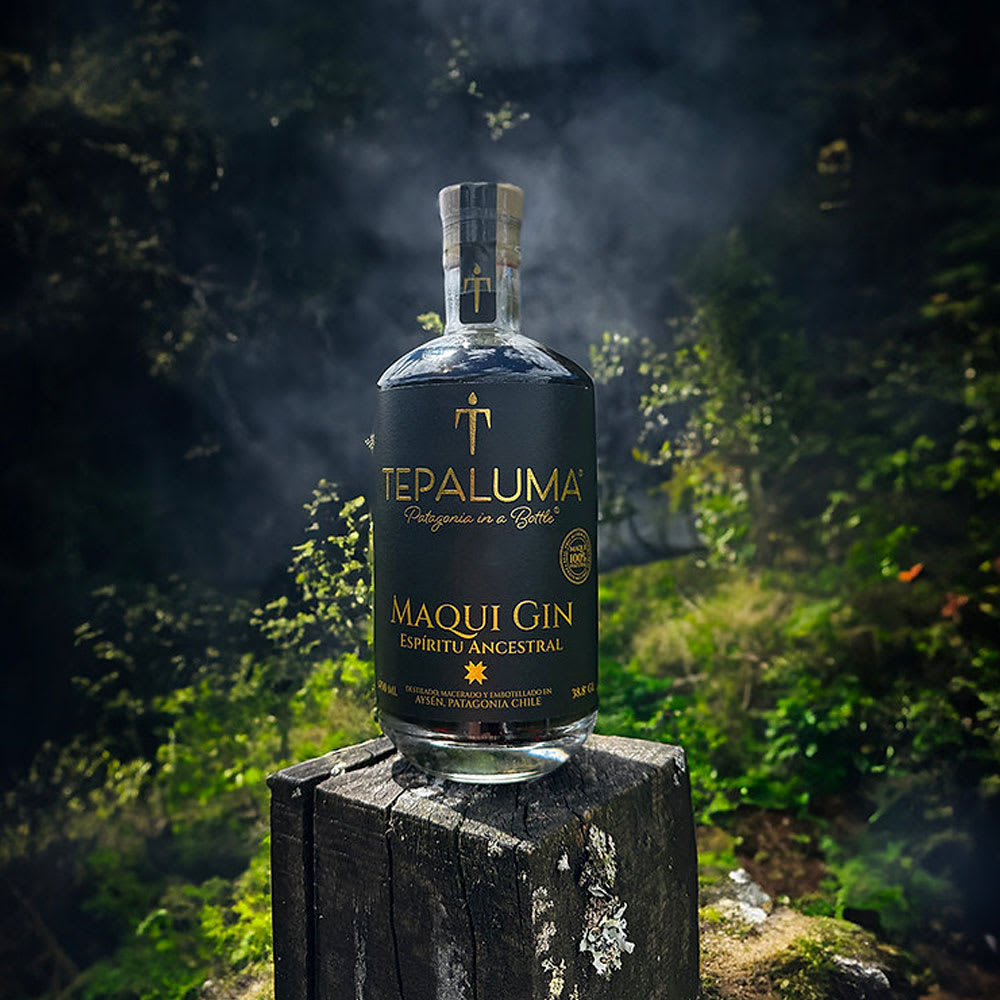 Gin Tepaluma Maqui Espíritu Ancestral, 14 botanicos2