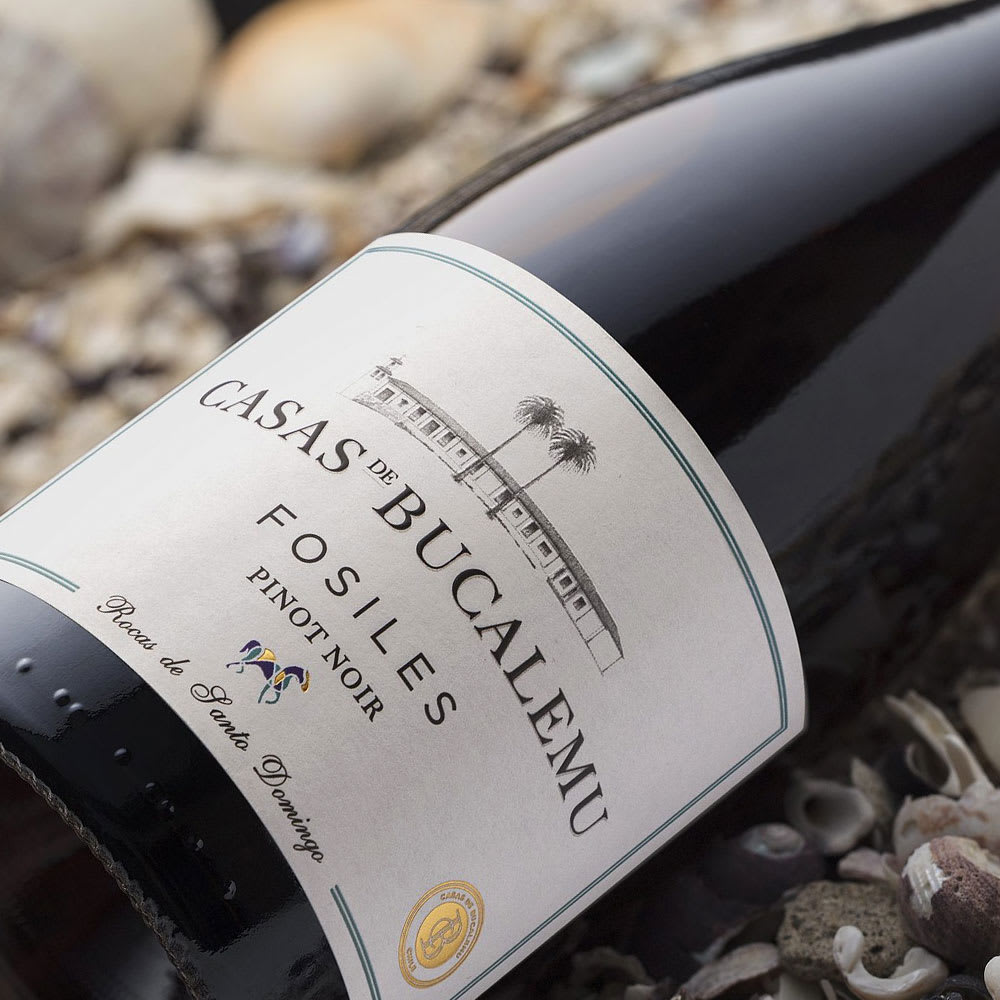 Vino Casas de Bucalemu Fosiles Pinot Noir2