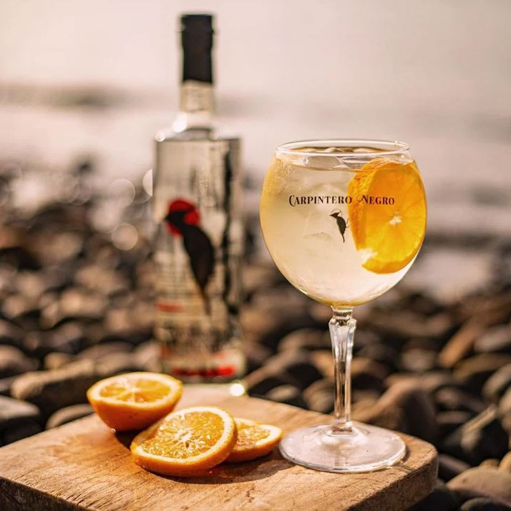 Gin Carpintero Negro4