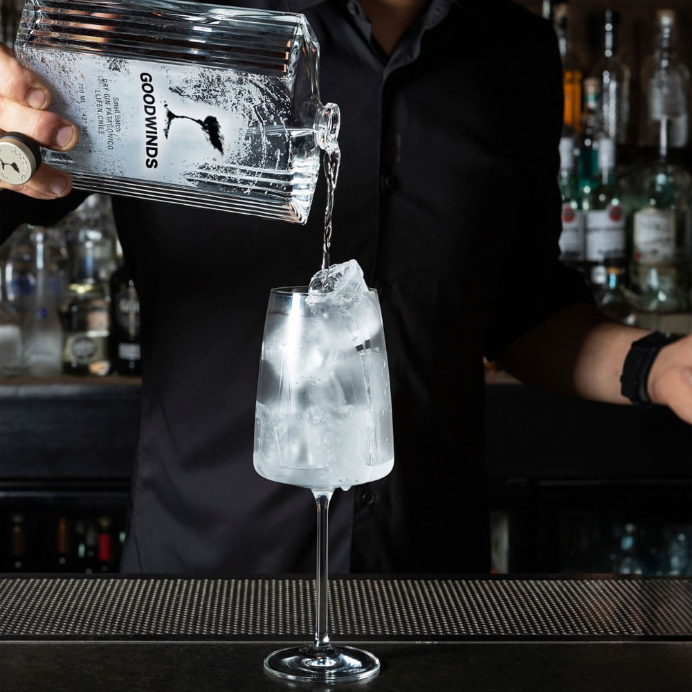 Gin Goodwinds Small Batch Dry4