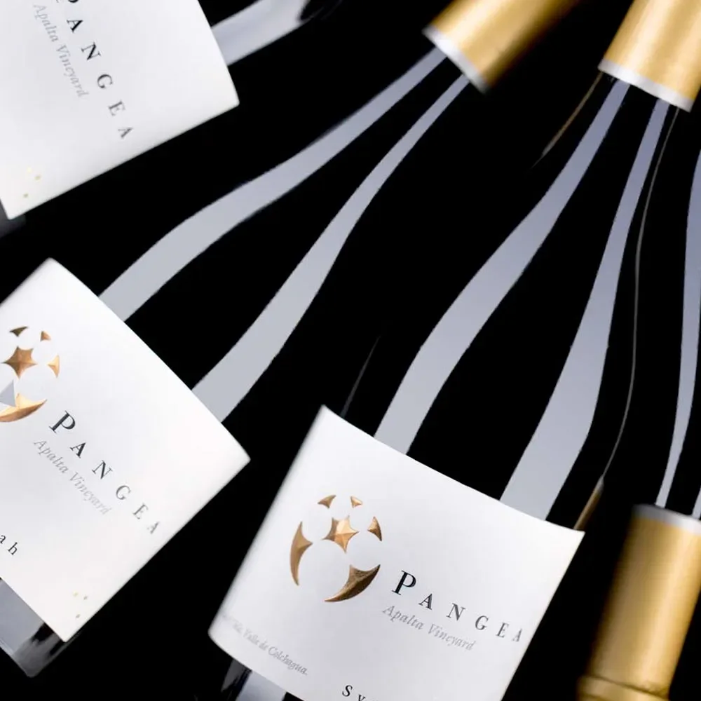 Vino Ventisquero Pangea, Syrah1