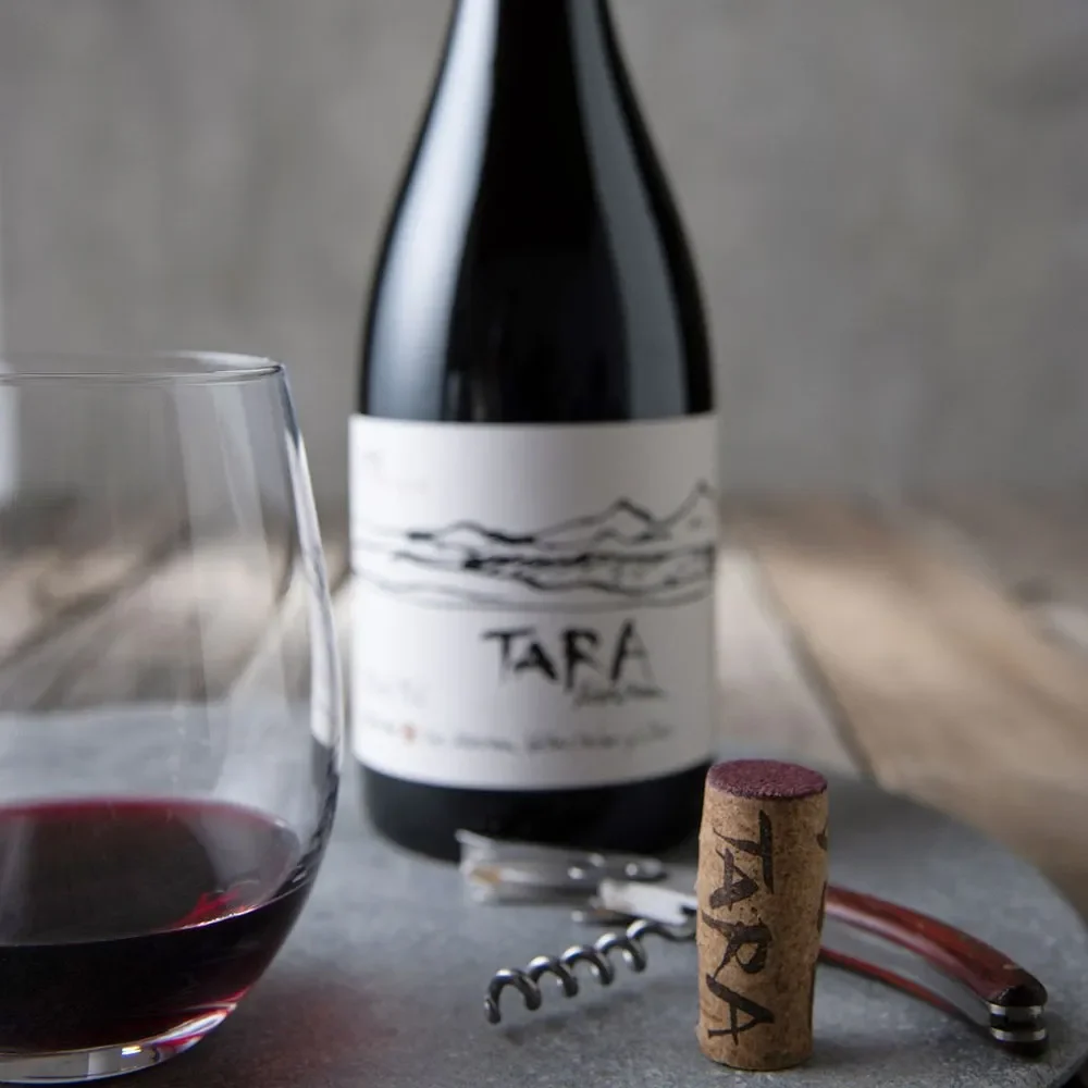 Vino Ventisquero Tara Red Wine 1 Pinot Noir2