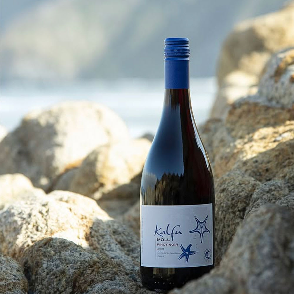 Vino Ventisquero Kalfu Kuda Gran Reserva Pinot Noir.2
