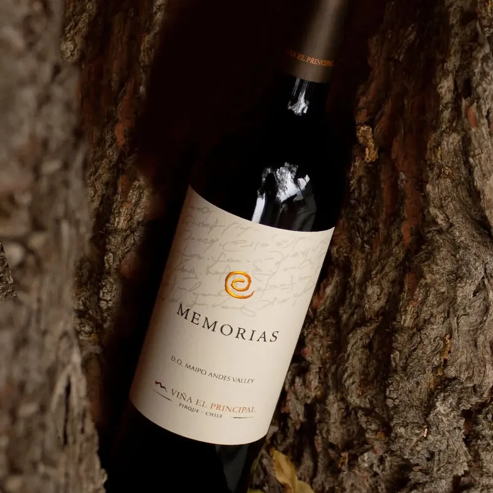 Vino El Principal Memorias Ensamblaje1