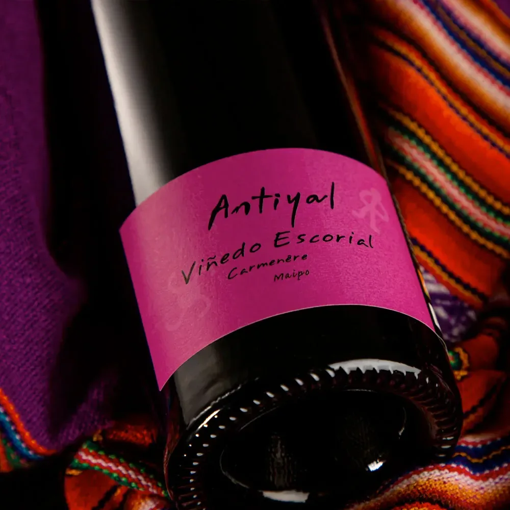 Vino Antiyal Viñedo Escorial Carmenere, Biodinamico2