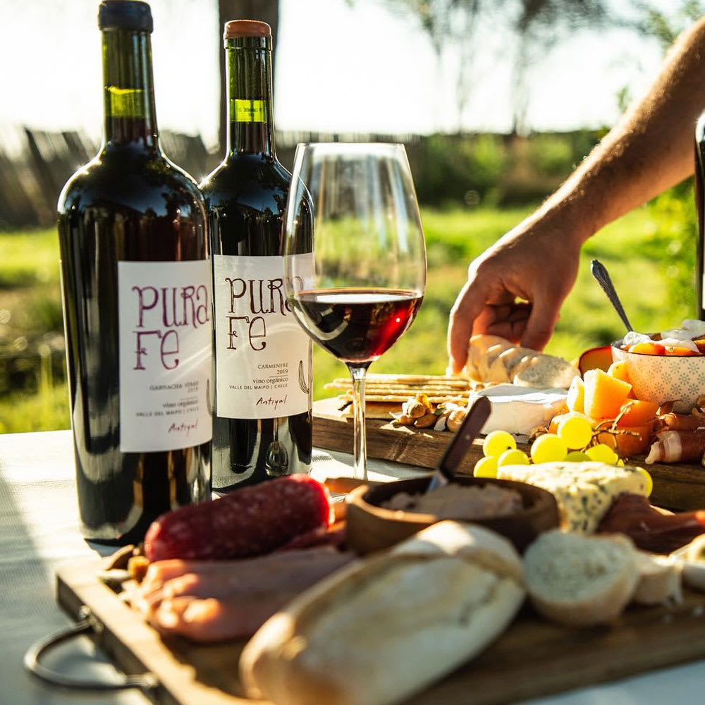 Vino Antiyal Pura Fe, Ensamblaje (Garnacha/ Syrah)2