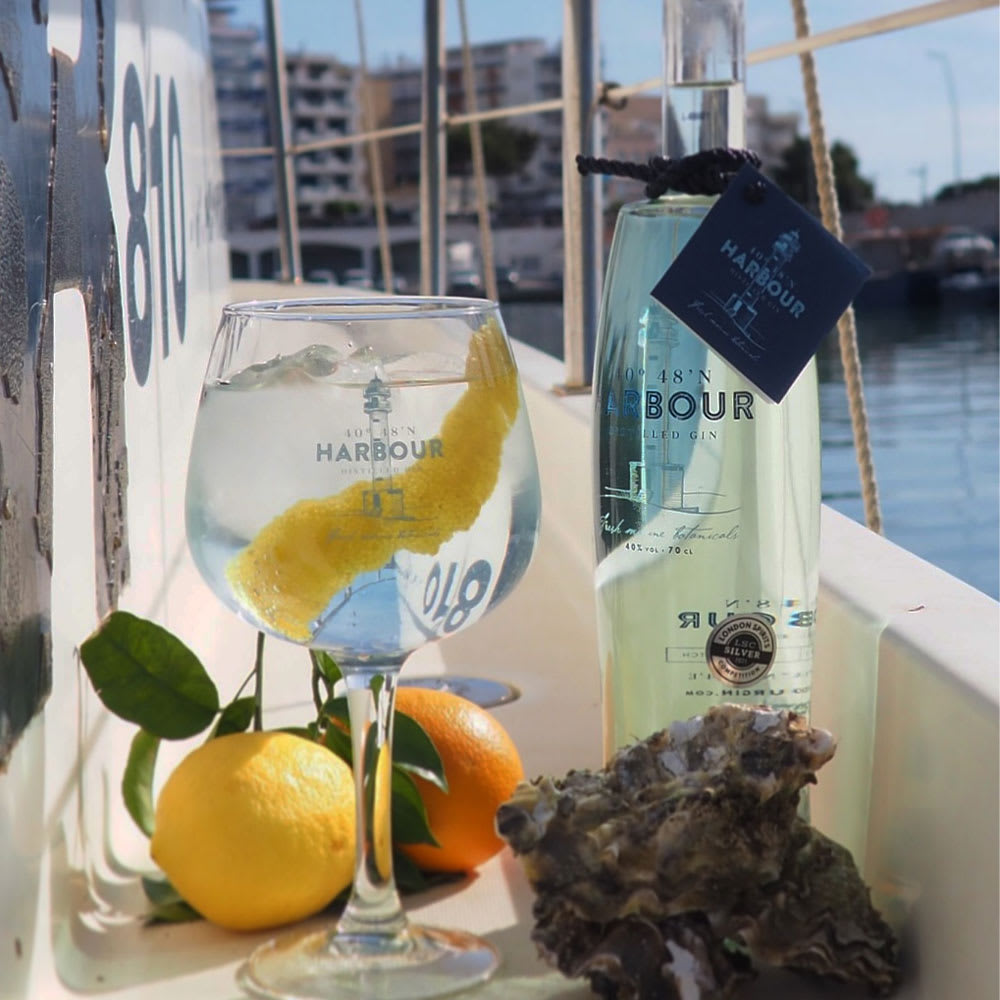 Gin Harbour - Small Batch (10 Botánicos, Marinos)3