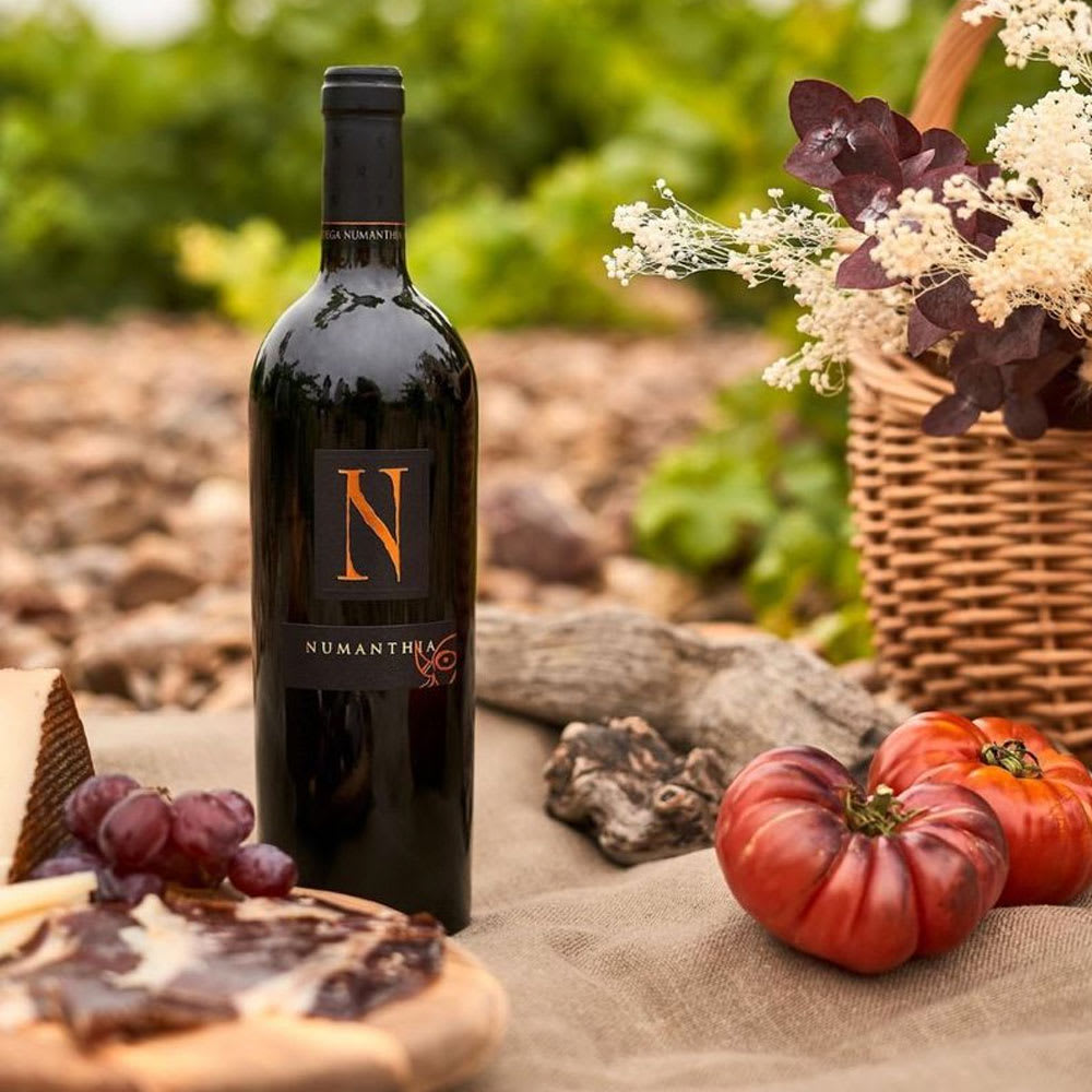 Vino Numanthia Tempranillo Tinta de Toro3