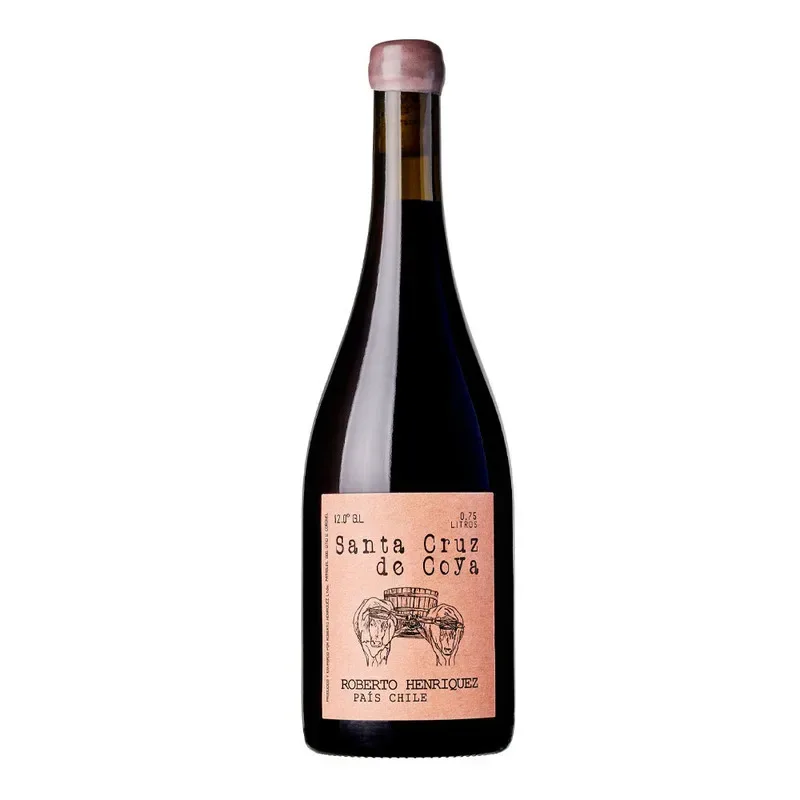 Vino Roberto Henriquez Santa Cruz de Coya, Pais1