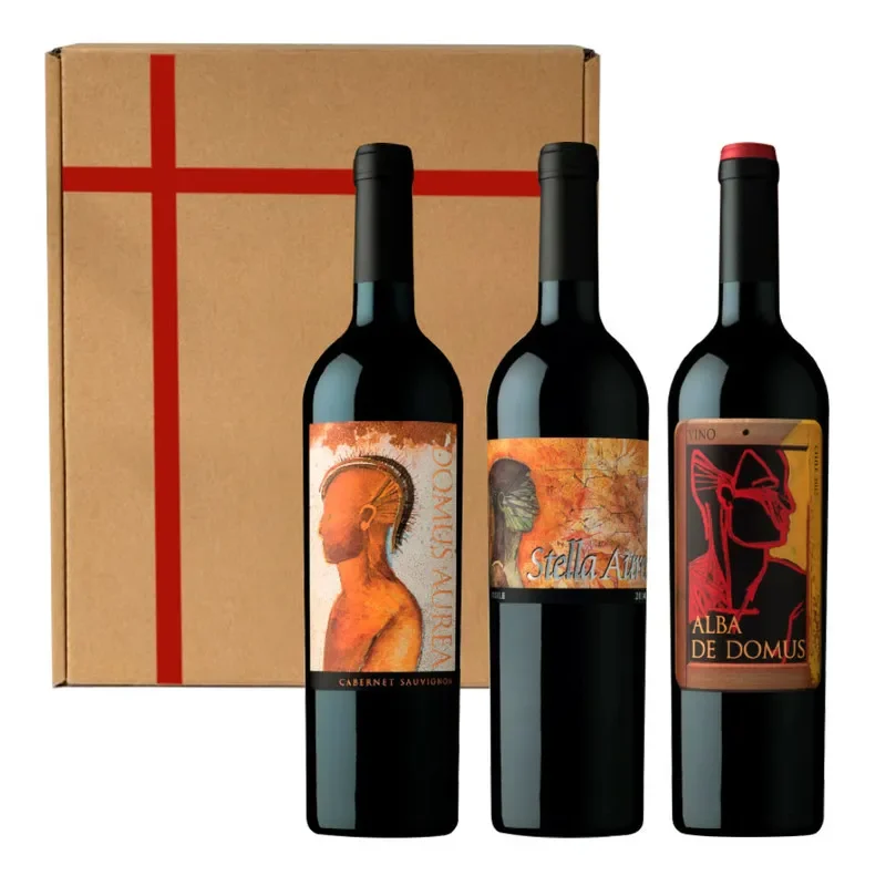 3 Vinos Quebrada de Macul Cabernet Sauvignon2