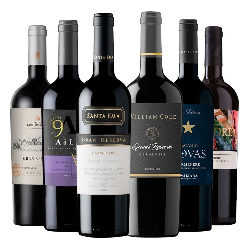 6 Vinos Gran Reserva Plus Carmenere3