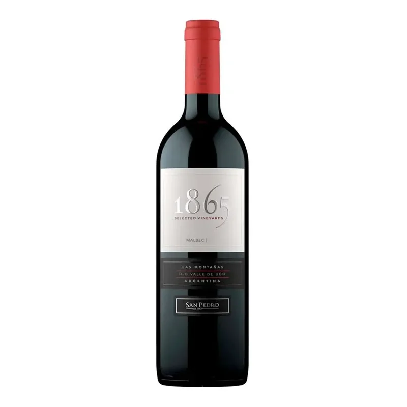 Vino San Pedro 1865 Malbec1