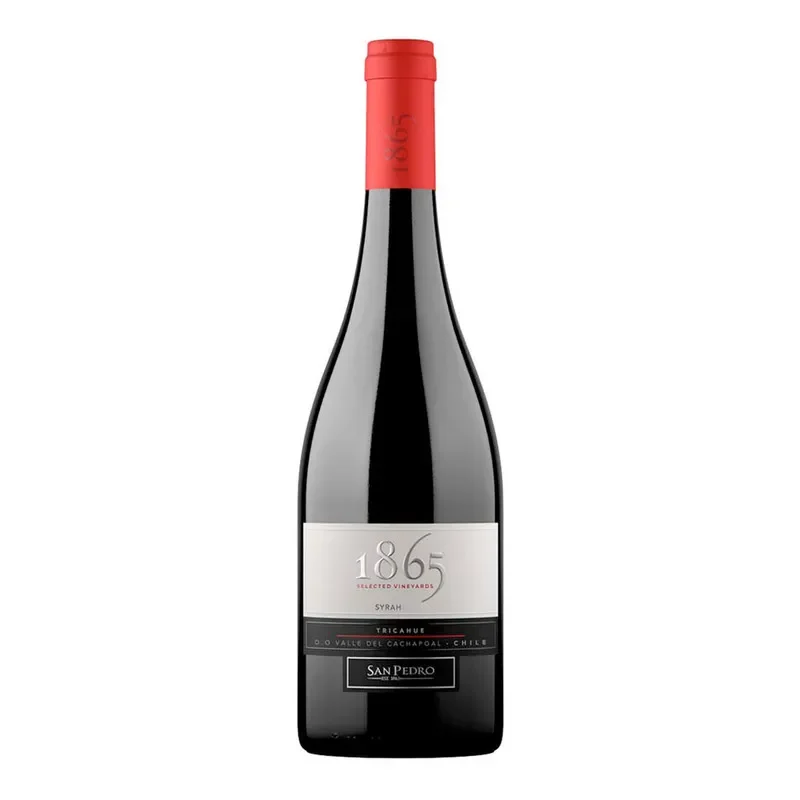 Vino San Pedro 1865 Syrah1