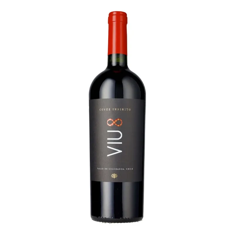 Vino Viu Manent Infinito Ensamblaje2