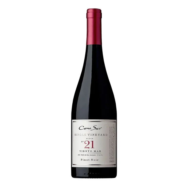 Vino Cono Sur Single Vineyard Pinot Noir1