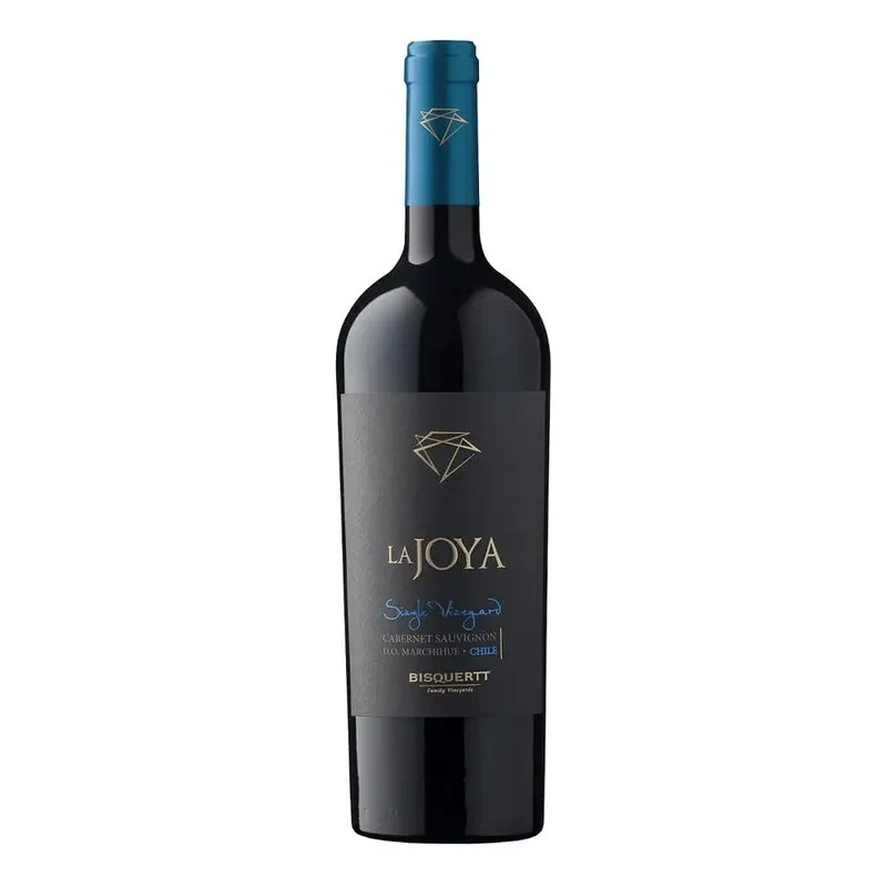 Vino Bisquertt La Joya Single Vineyard Cabernet Sauvignon1