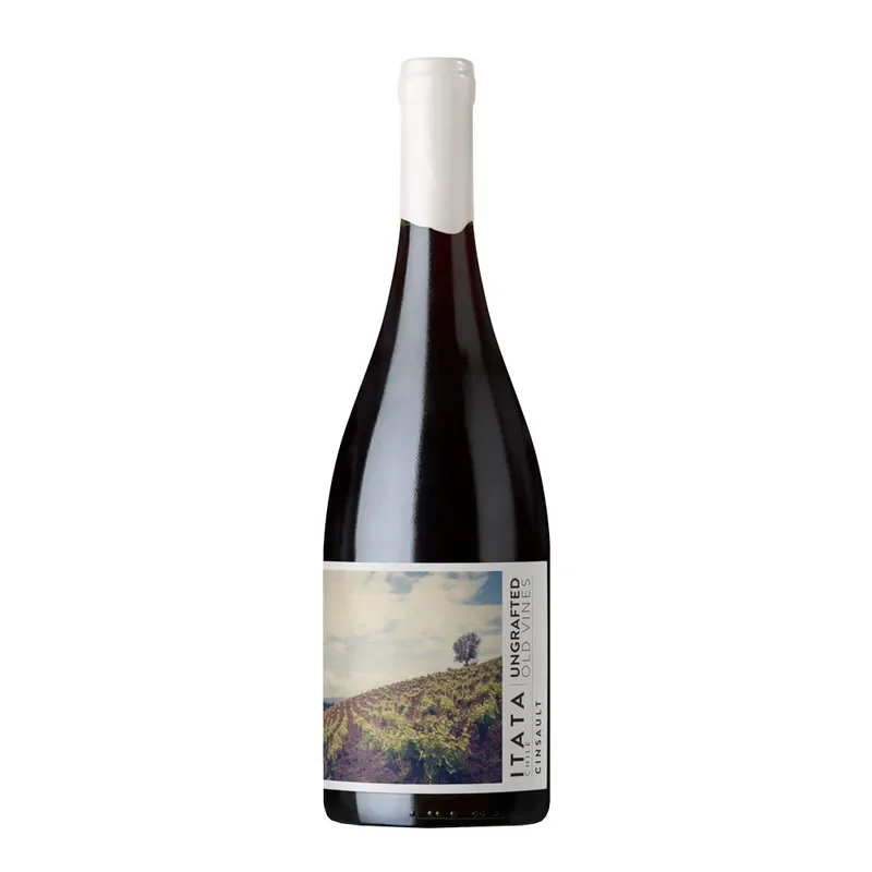 Vino De Martino Ungrafted Grave Soils Cinsault1