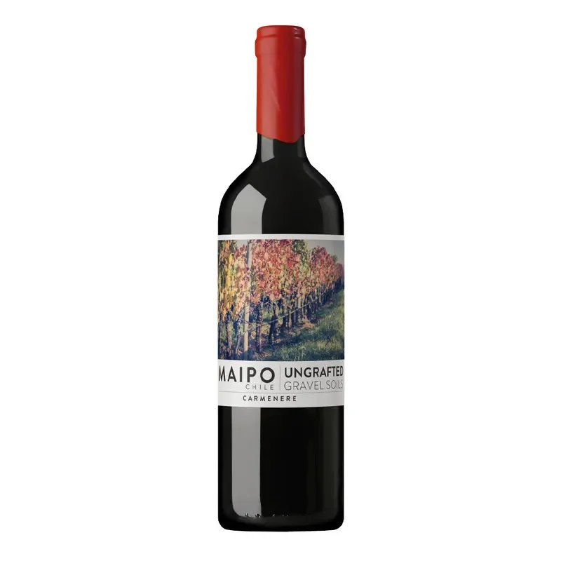 Vino De Martino Ungrafted Grave Soils Carmenere1