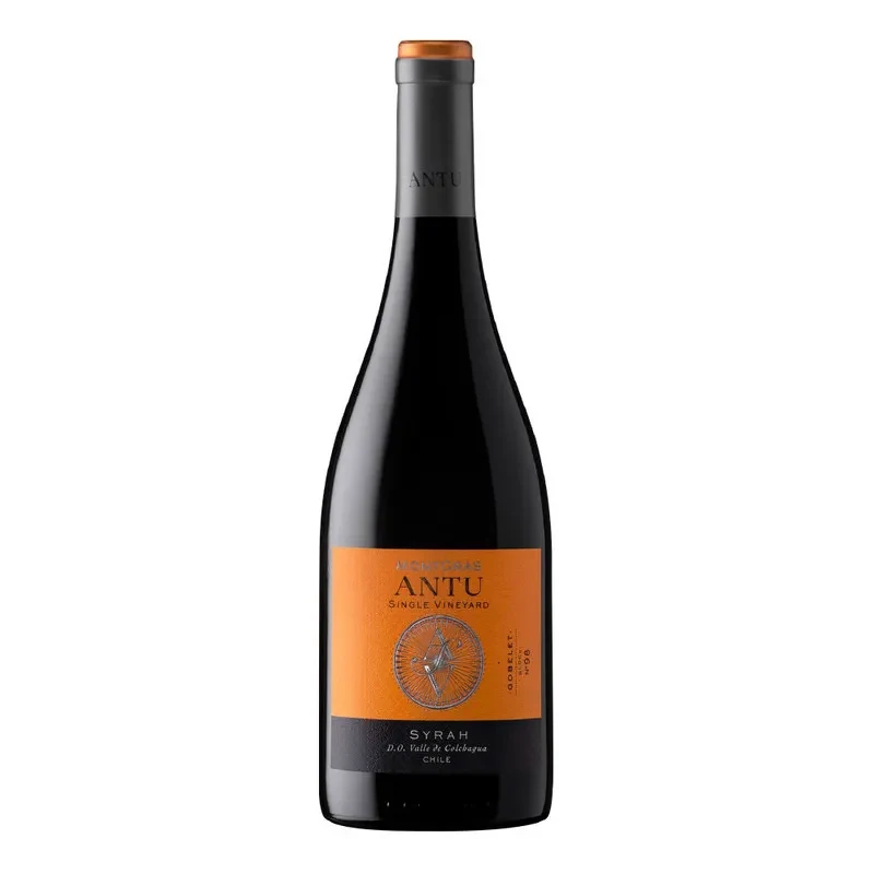 Vino Montgras Antu, Syrah1