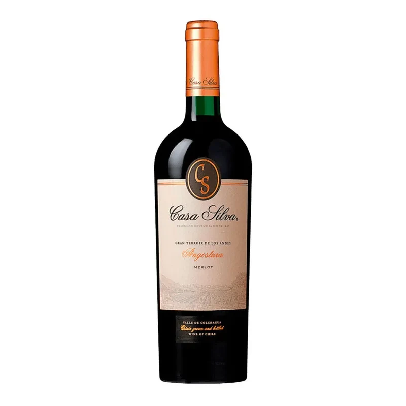 Vino Casa Silva Gran Terroir, Merlot1