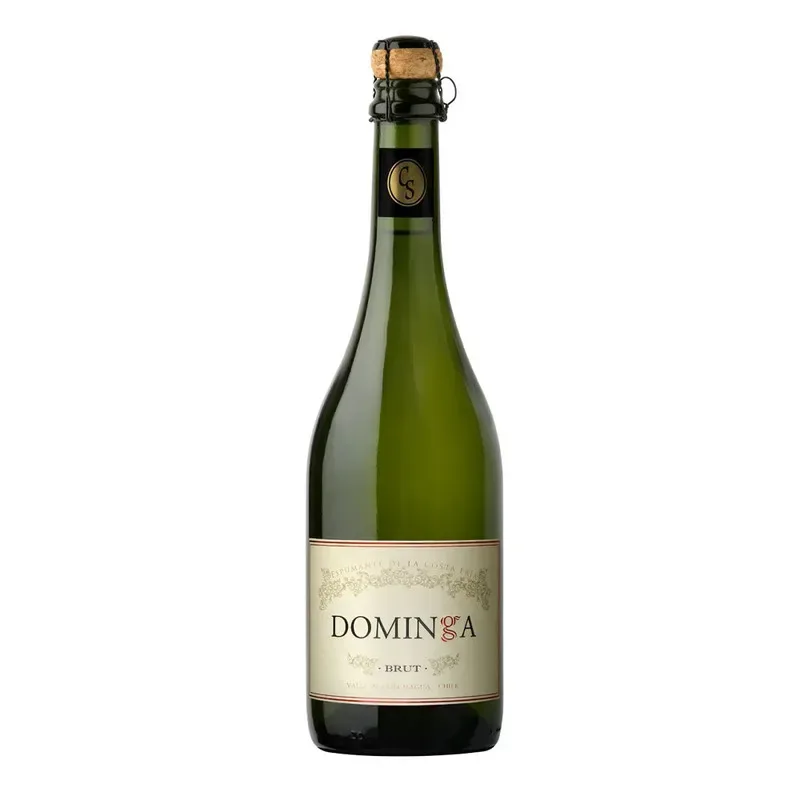 Espumante Dominga Brut1