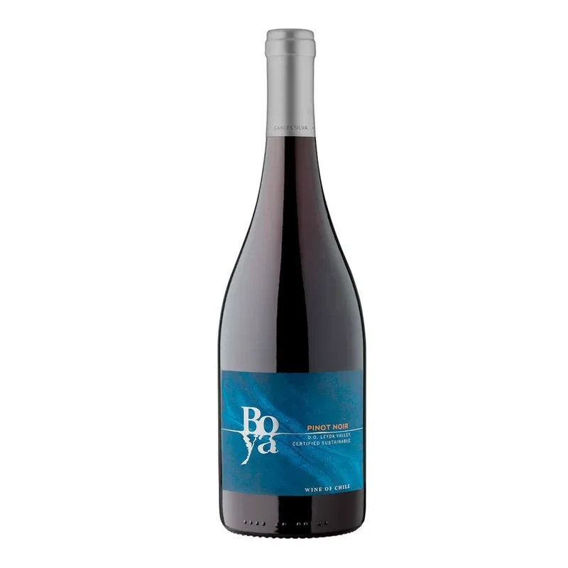 Vino Amayna Boya Pinot Noir1