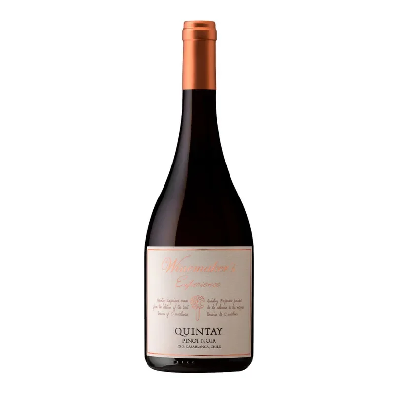 Vino Quintay Winemakers Experence, Pinot Noir1