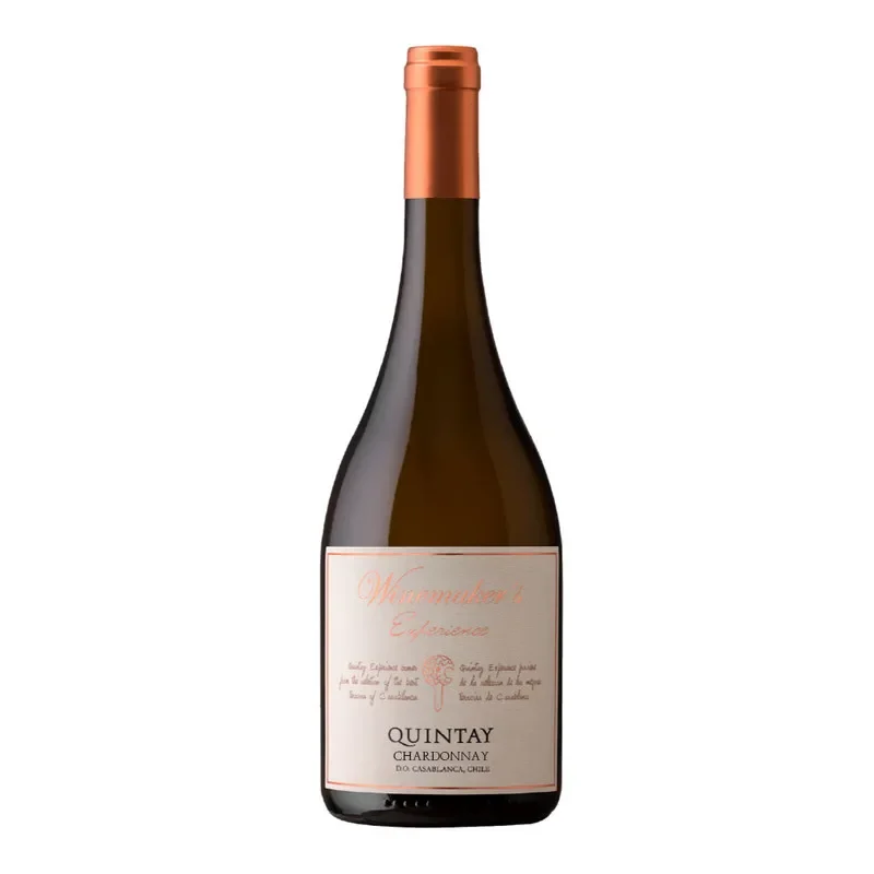 Vino Quintay Winemakers Experence, Chardonnay1