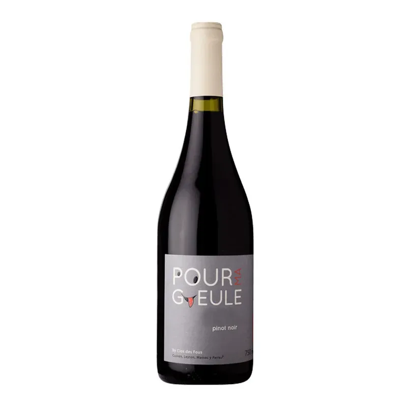 Vino Clos des Fous Pour Ma Goule Pinot Noir1