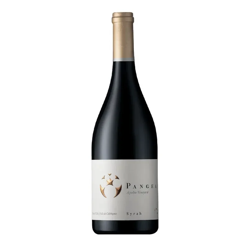 Vino Ventisquero Pangea, Syrah2