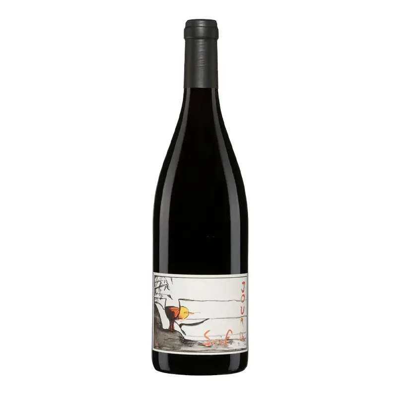 Vino Pierre et Rodolphe Gauthier Jour de Soif Bourgueil Cabernet Franc1