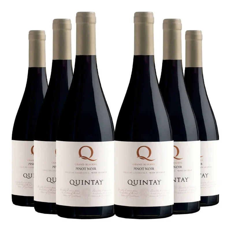 6 Vinos Quintay Q Pinot Noir1