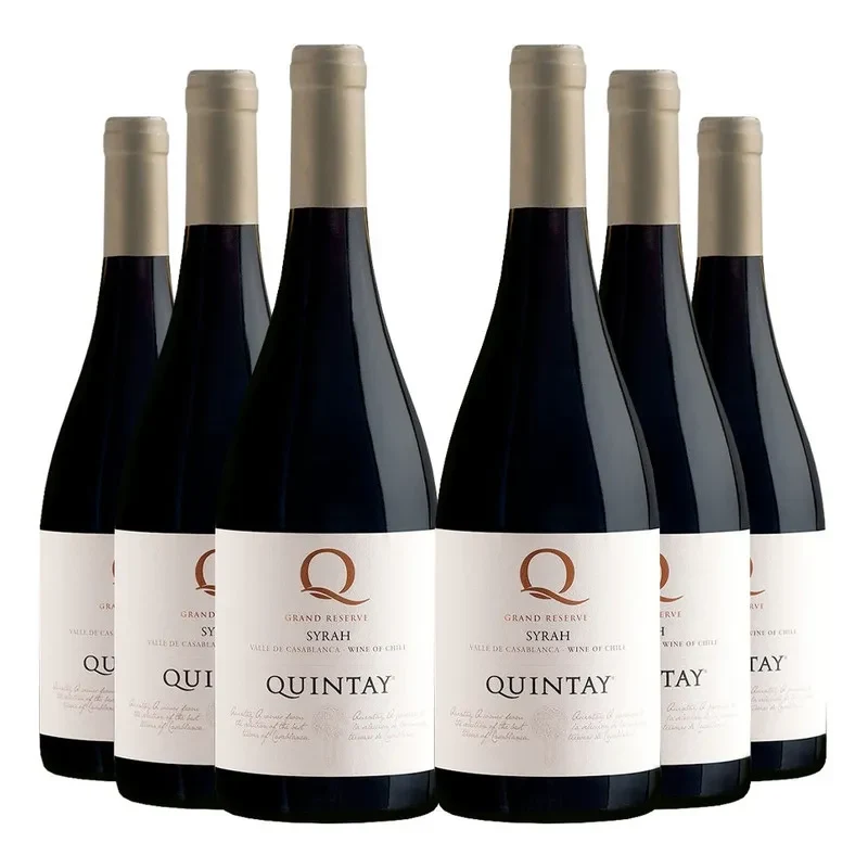 6 Vinos Quintay Q Syrah1