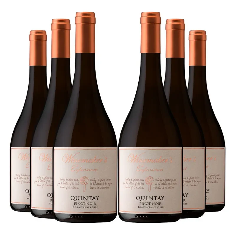 6 Vinos Quintay Experience Pinot Noir1