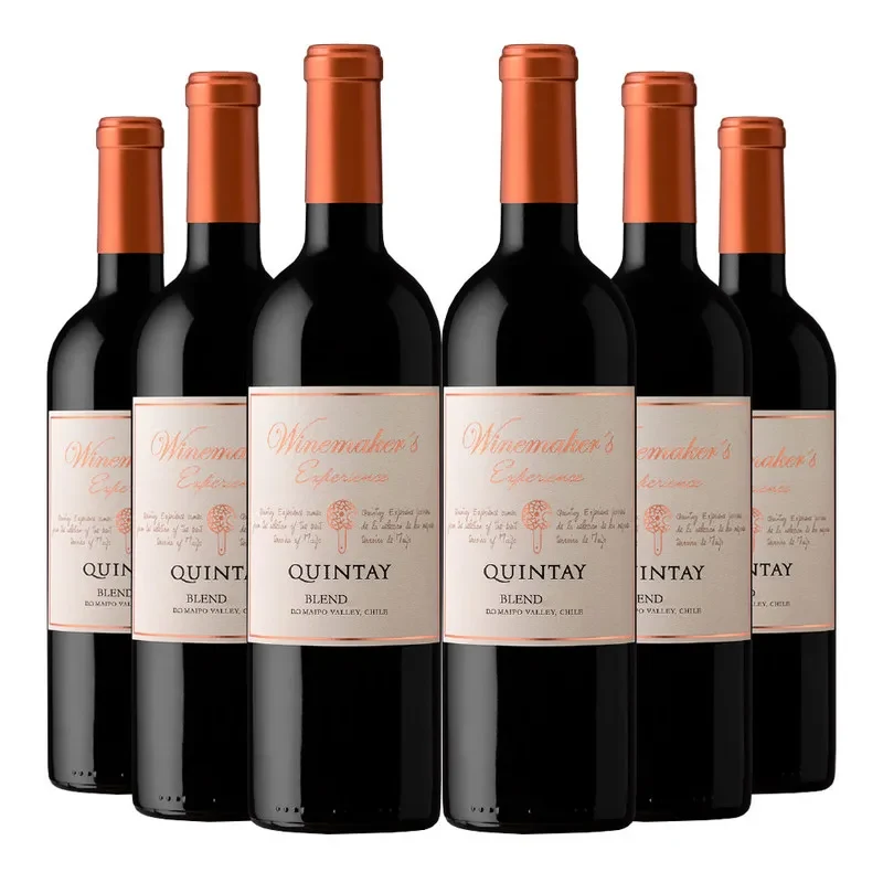 6 Vinos Quintay Experience The Blend1
