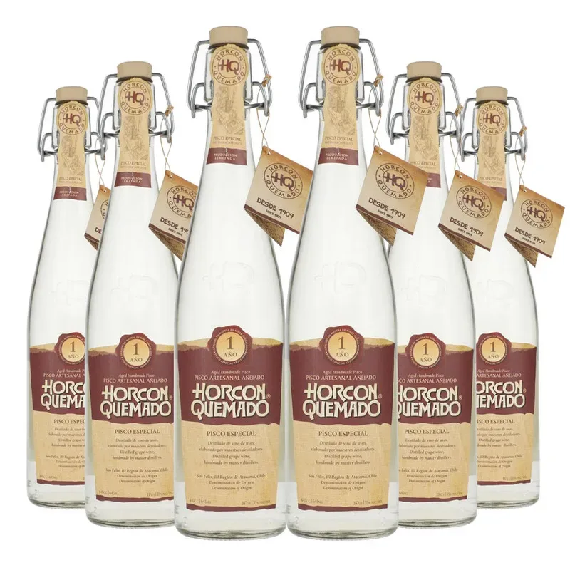 6 Piscos Horcon Quemado 1 año, Atacama1