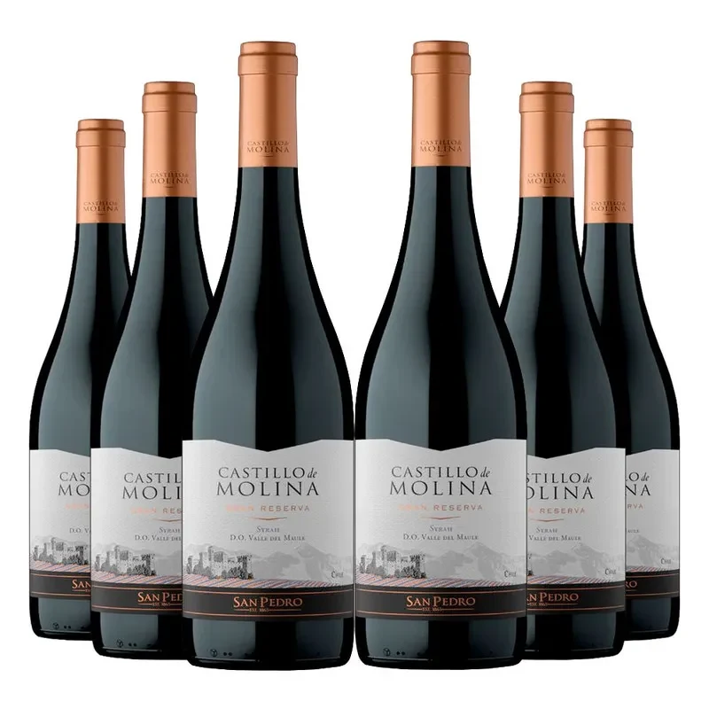 6 Vinos Castillo de Molina Syrah1
