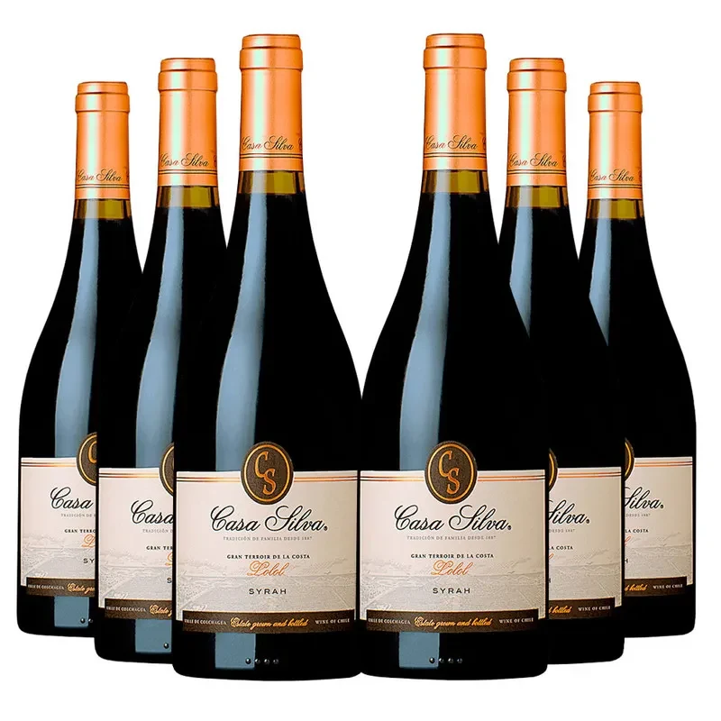 6 Vinos Casa Silva Gran Terroir Syrah1