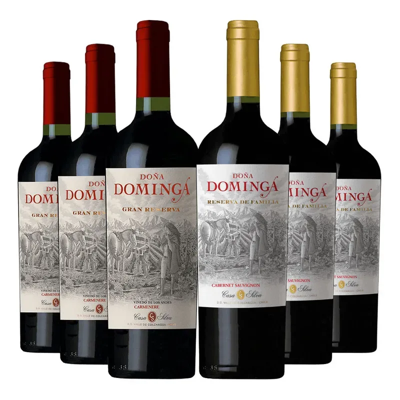 6 Vinos Parrillero Dominga, 3 G Rva Ca + 3 Rva Cs2