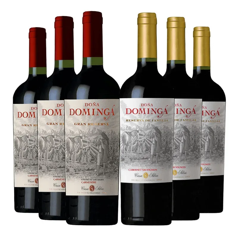 6 Vinos Mix Doña Dominga: 3 Gran Rva. CA + 3 Reserva CS2