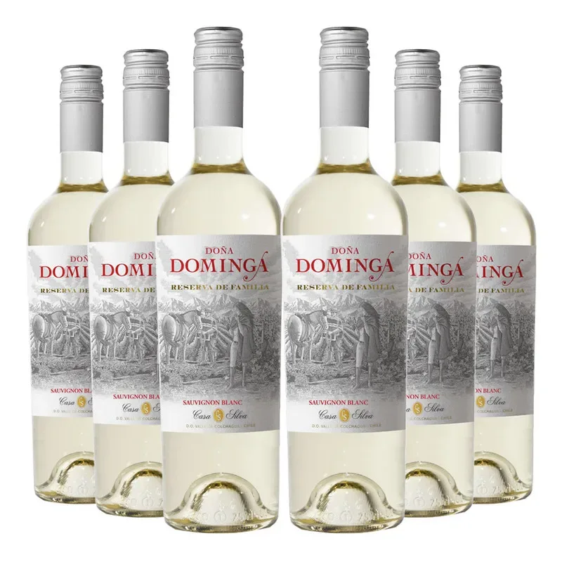 6 Vinos Doña Dominga Reserva Sauvignon Blanc1