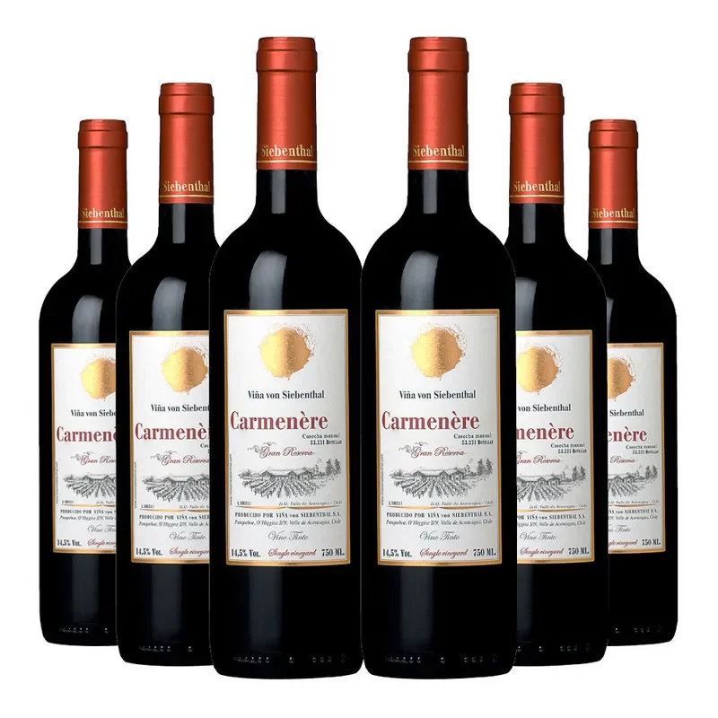 6 Vinos Von Siebenthal Gran Reserva Carmenere1