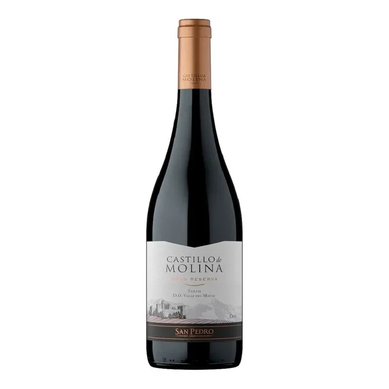 Vino Castillo de Molina Syrah