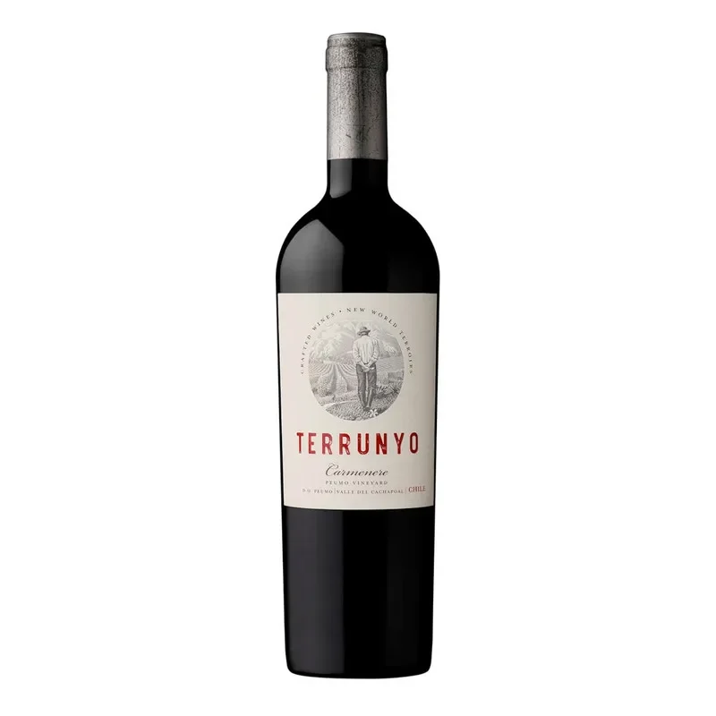 Vino Terrunyo Carmenere
