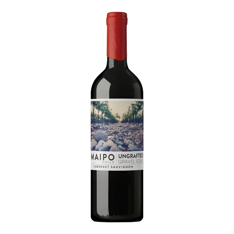 Vino De Martino Ungrafted Grave Soils Cabernet Sauvignon