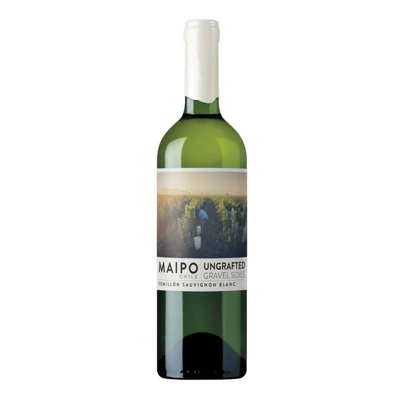 Vino De Martino Ungrafted Grave Soils Sauvignon Blanc