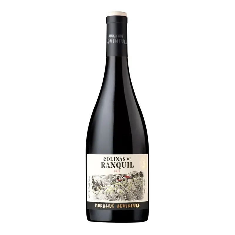 Vino Morande Adventure Colinas de Ranquil, Pais