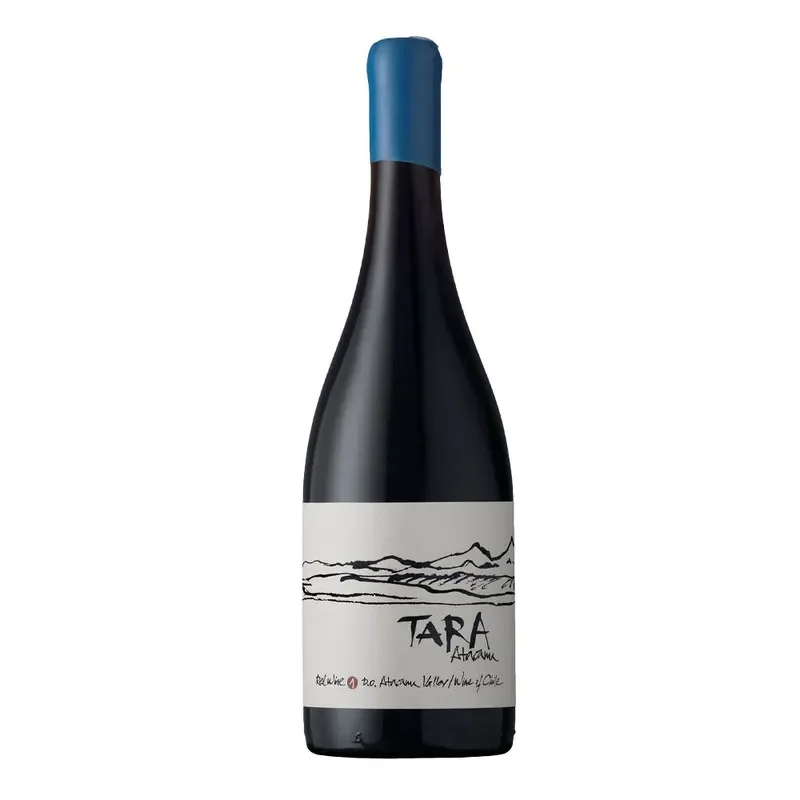 Vino Ventisquero Tara Red Wine 1 Pinot Noir